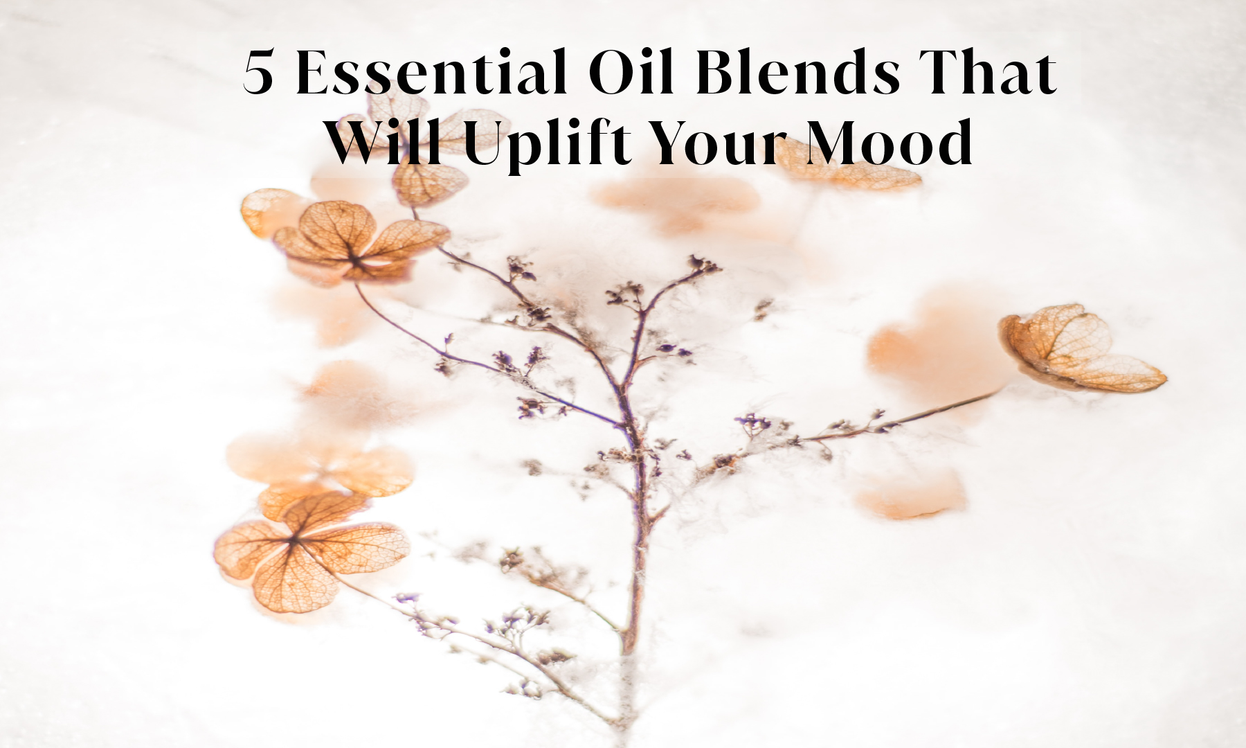 5 Essential Oil Blends for Uplifting Your Mood LabAroma Blog